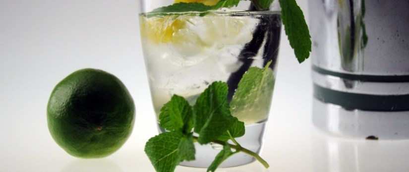 mojito-830x350
