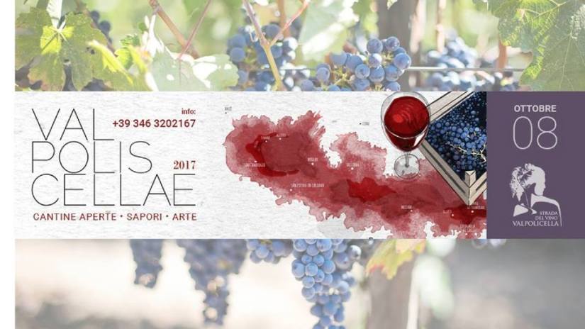 21078828_1535658226454842_2727101917651379926_n