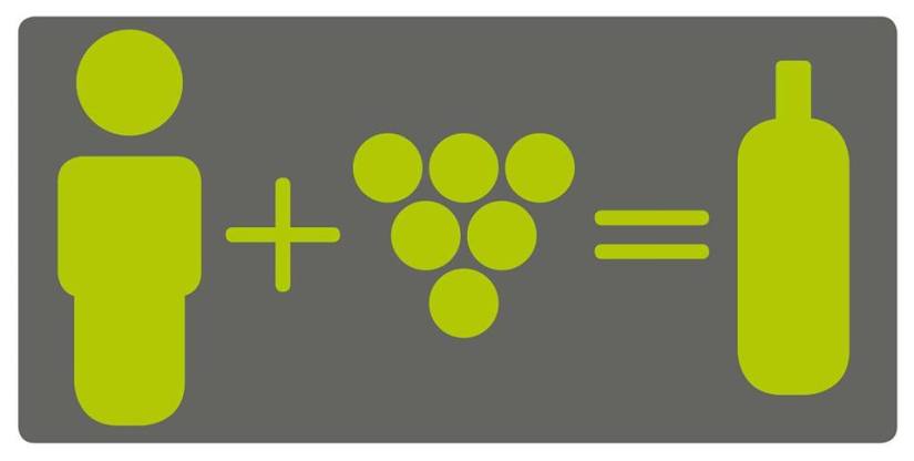 21728085_1750512951920688_5499482434401572818_n