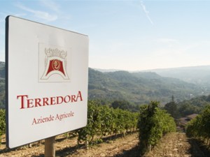 terredora-dipaolo-irpinia-wines-29065