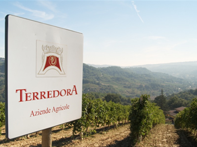 terredora-dipaolo-irpinia-wines-29065