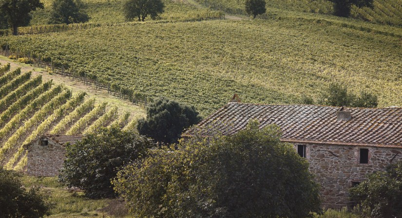 azienda-doga-delle-clavule.jpg