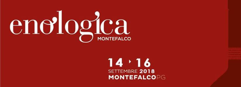 37055950_1771950349558198_3311998373145346048_n