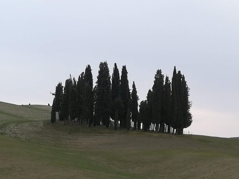 img_20190307_173508