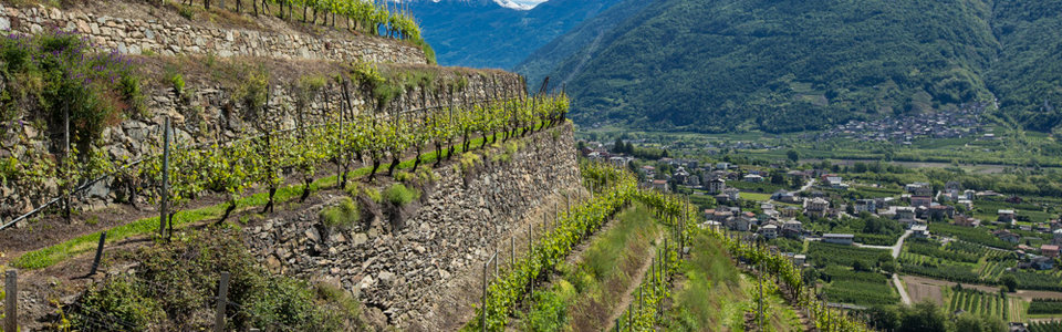 valtellina.jpg