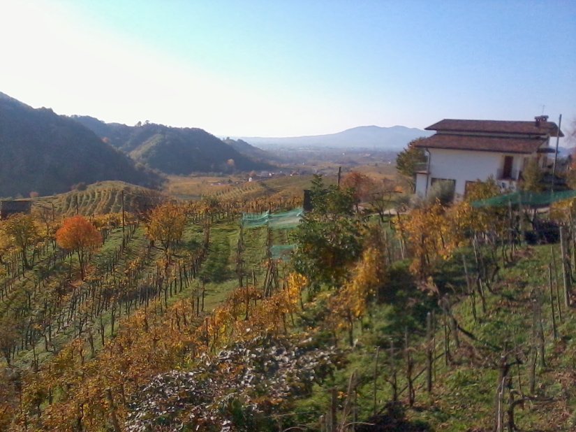 2012-11-16 108946184019320299621..jpg