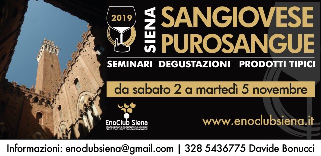 65652343_2428275117210824_391140670191960064_n