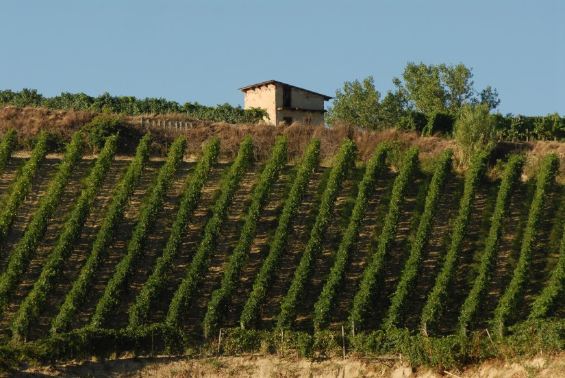 vigna canale (1).JPG