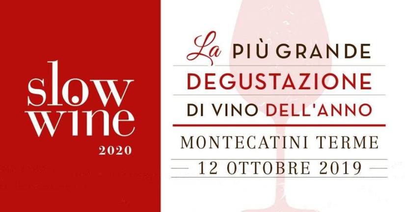 70242268_2707421475958311_592343567133835264_n