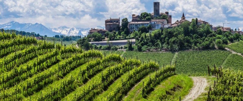 barolo, barb roer.jpg