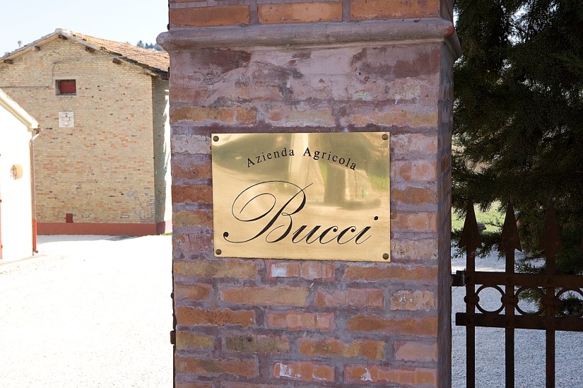 villa bucci.jpg