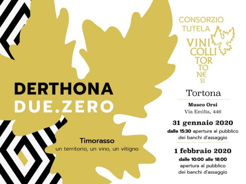 83891626_2378604459081327_988648334203813888_n