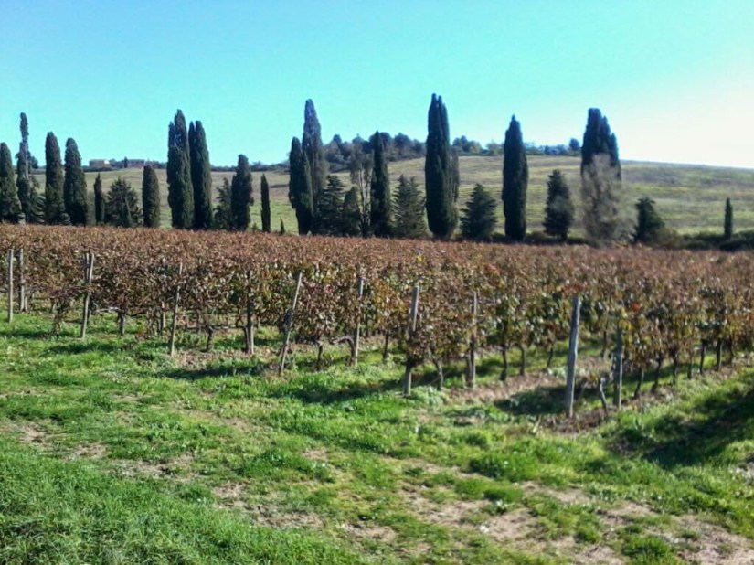 2012-11-02 10.28.51.jpg