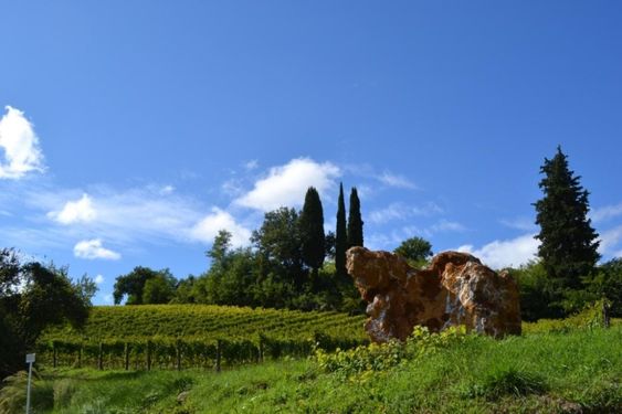 653b8d65086f969b3f490b76b3cad64f