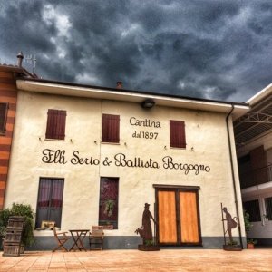 phoca_thumb_l_fratelli serio battista borgogno barolo cannubi