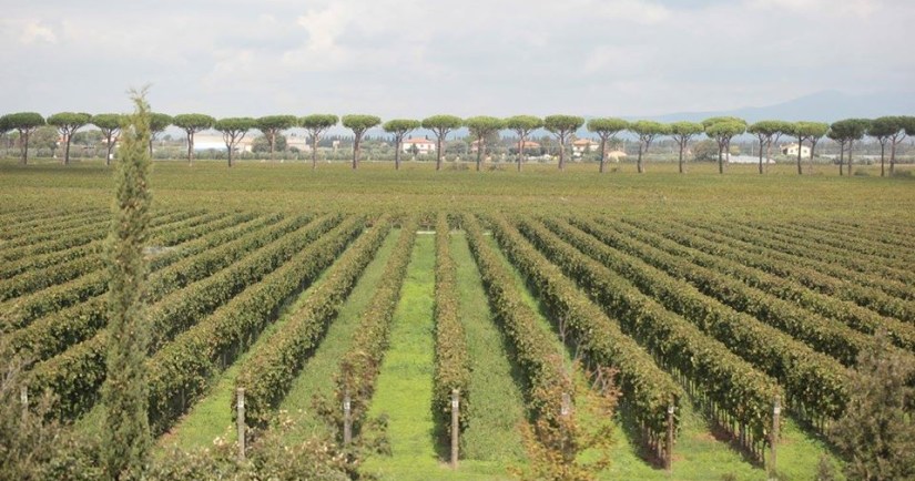 22218307_1653327568019288_5844949810775532494_o (1)