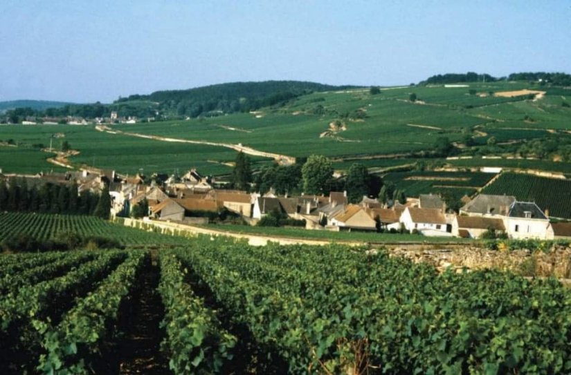 33848_372629859489562_85682487_n (1)5094567312252735802..jpg