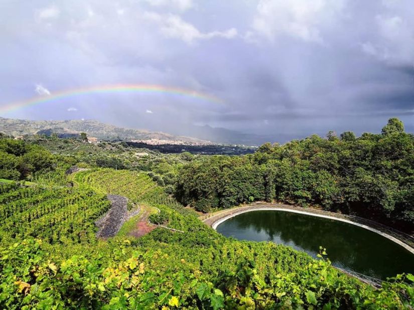 72381463_2733348796896163_7287264980989116416_o