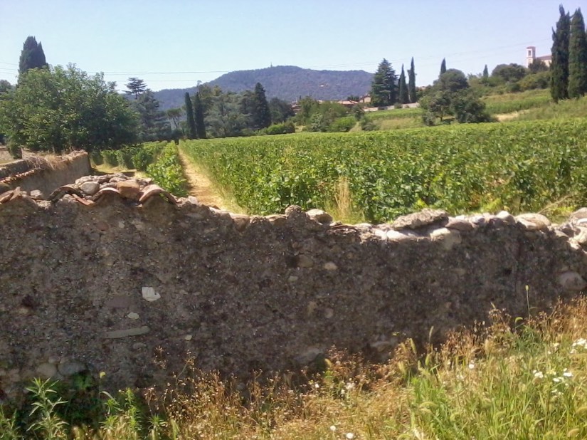 2013-07-31 12.54.32.jpg