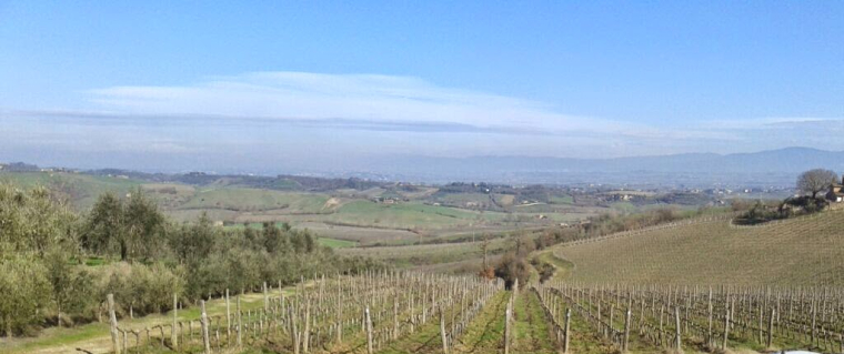 20140207_111013-e1586273621442