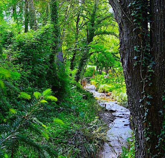 c37e92245f3a2f4444bf2e63340f8688