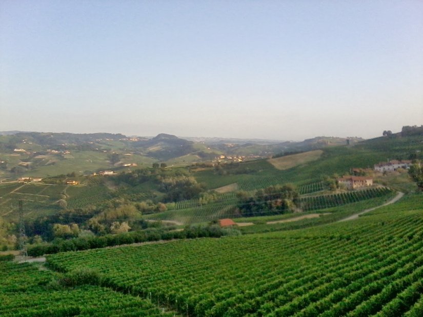 2012-07-28 196439579671025123063..jpg