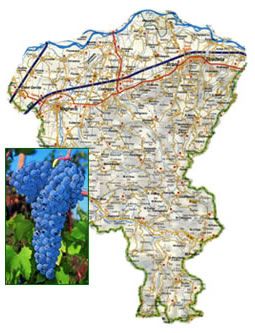 3fa01a41583d905489fd3f7b55114407