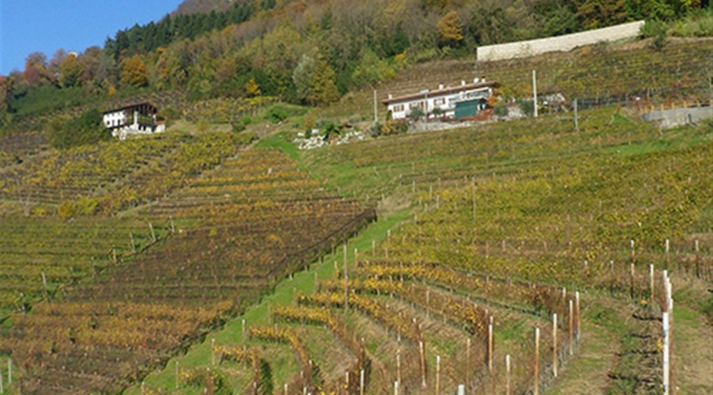 Questa immagine ha l'attributo alt vuoto; il nome del file è copertina-11-1.jpg