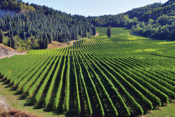 Questa immagine ha l'attributo alt vuoto; il nome del file è image.jpg